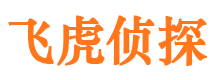 丰泽侦探公司